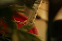 Изображение 030