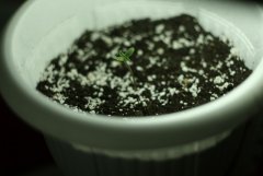 Изображение 003