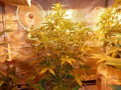 Moby dick 33 дня