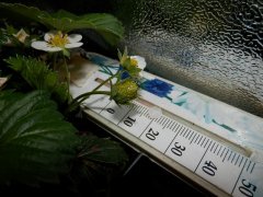 P1010055