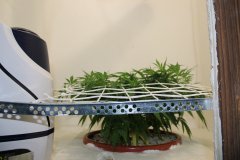 ‎LSD Fem 30 ‎декабря ‎2013 ‎г