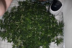 ‎18 ‎января ‎2014 ‎г