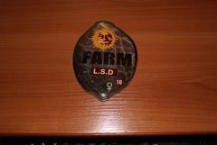 Barneys Farm LSD Fem 2 ореха с Hhigh Stone