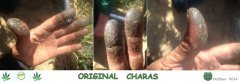 Original Charas
