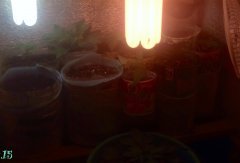 Emergency Lighting15