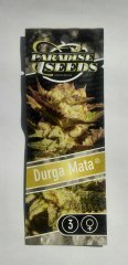 Дурга Мата