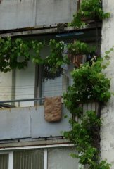 P1000208