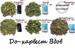 2-ые харвесты
