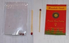 Так семки паковать - преступление!