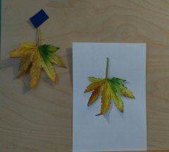 IMG 20160924 WA0000