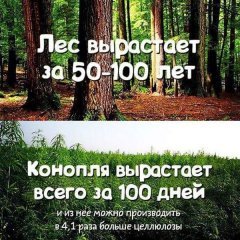 1451732238111695223