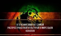 факт дня