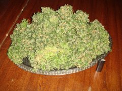 Afghan Kush \ W.o.S \ ХВ