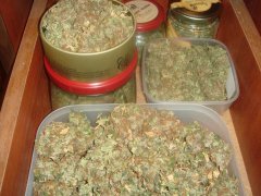 Dr.Grinspoon \ Barney`s Farm