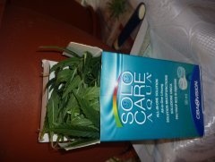 P1020982