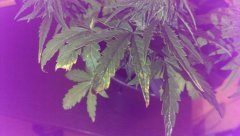 IMAG0777