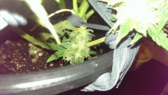 IMAG0858