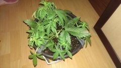 IMAG0707