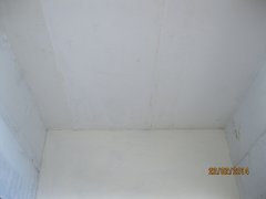 IMG 0267