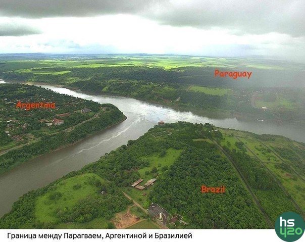 Они)
