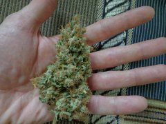 LSD ЦК