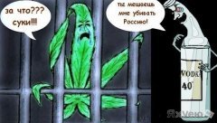 Суровая реальность