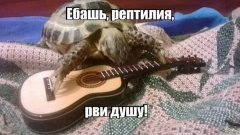 Hefb8DGZY08