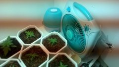 обдув и увлажнитель