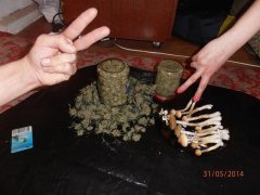 High-stone - мечты сбываются