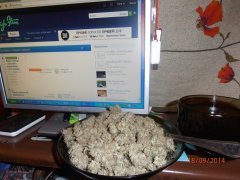 Сатори