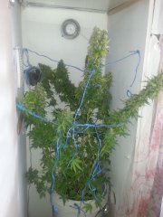 20150224 141839
