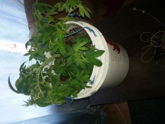 20140816 134353