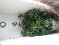 20150106 114458