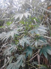 IMG 20140723 135233