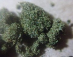 iceh2