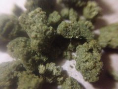 iceh1