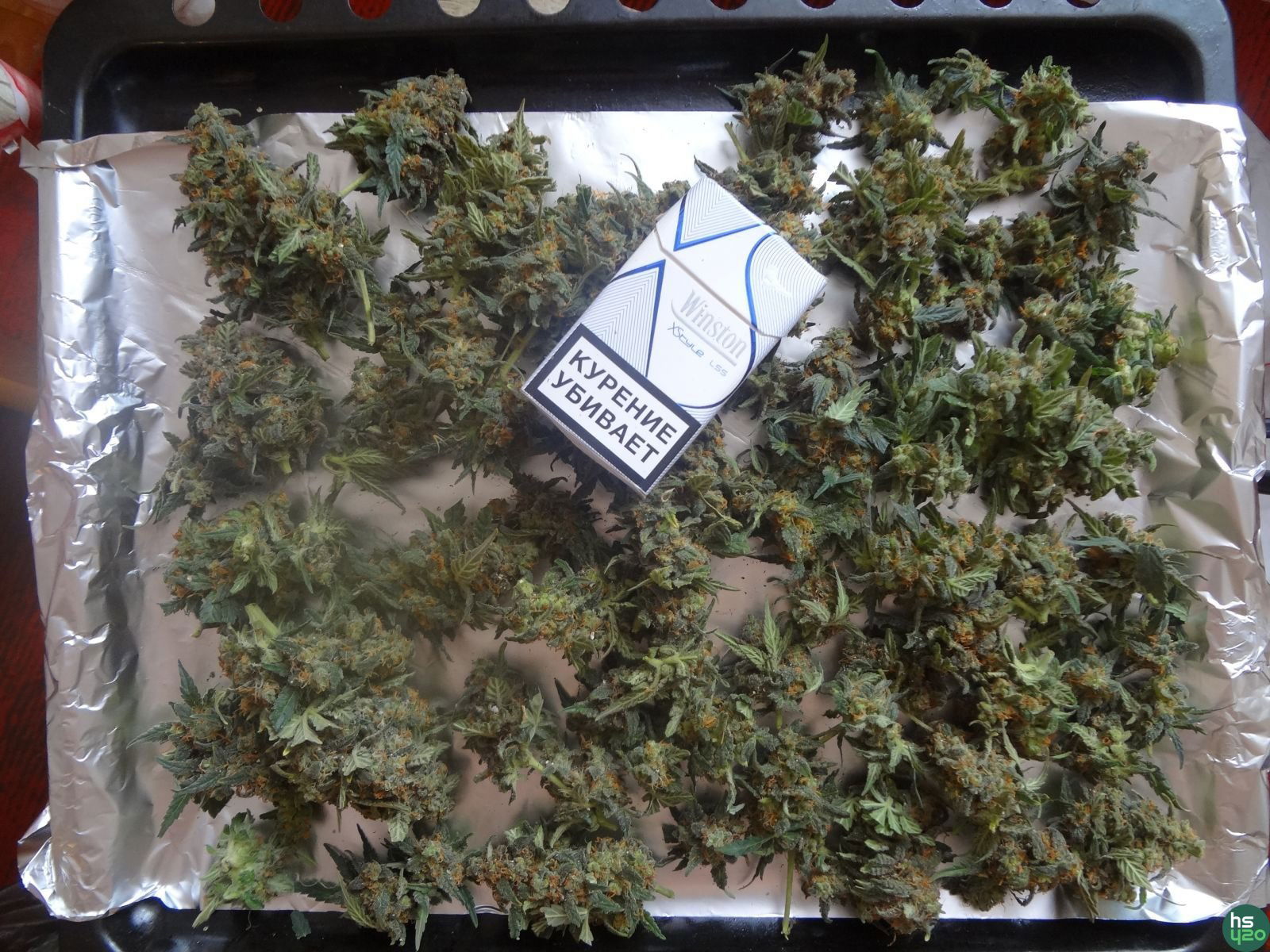 2-ой гров