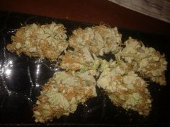 Pineapple Chunk [Bulk seed]