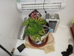 IMGP0009 2