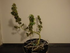 IMGP0165