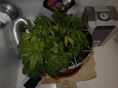 IMGP0026 2