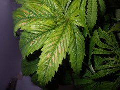 IMGP0030 2