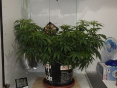 IMGP0129 2