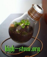 high-stone.org