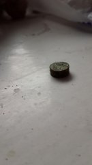 сосед изобретатель