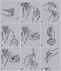 BelomorJoint