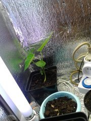 IMG 20150517 131159