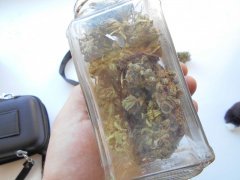 Auto New Yourk City аут