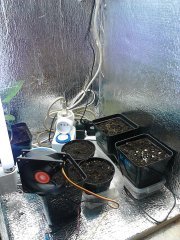 IMG 20150517 131155
