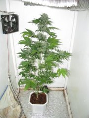 201